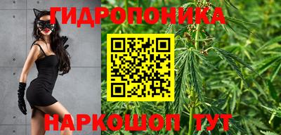 Альфа ПВП Пенза