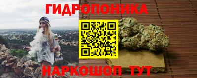 Альфа ПВП Пенза