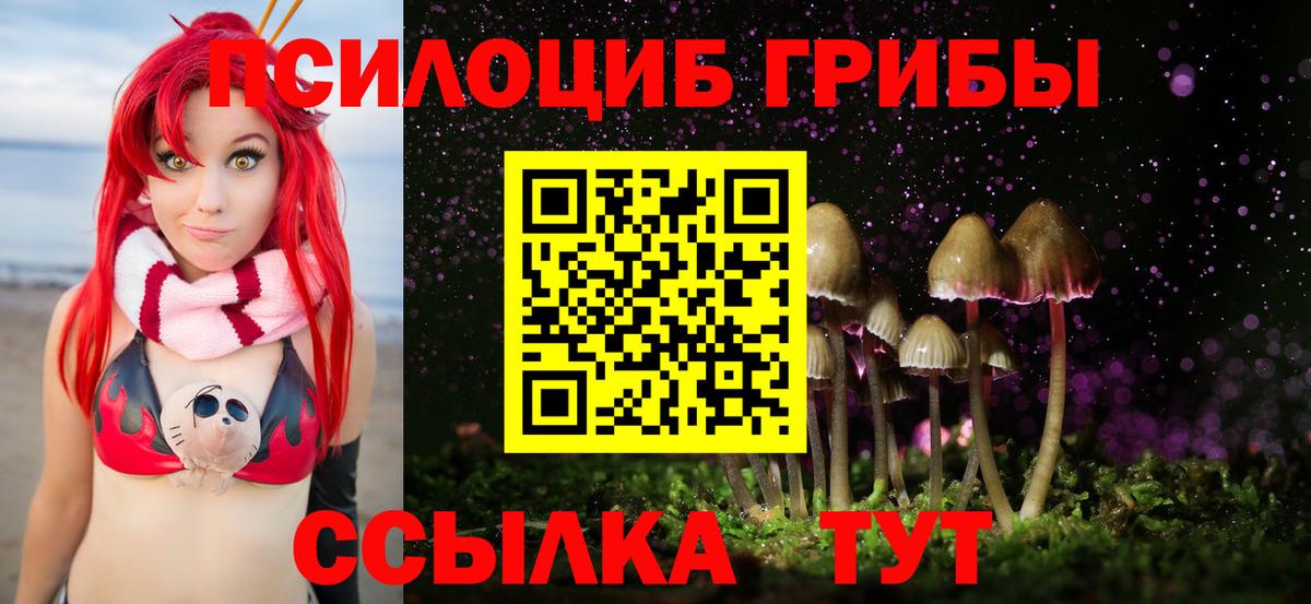 Наро-Фоминск  Псилоцибиновые грибы MAGIC MUSHROOMS  купить наркотики цена  Вход с VPN 